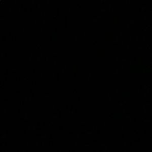 Meet your Posher, Skylar